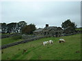 Pen-y-Braich