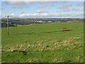 Field on the site of Five Acre Quarries, off Dewsbury Road, Rastrick