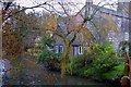 Cottage on the Nunney Brook