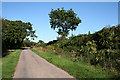 Witheridge: towards Monkey Moor