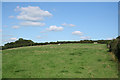 Witheridge: above Leat Farm