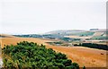 Looking towards Inverbervie