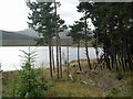 NH5378 : Loch Bad a' Bhathaich by Gordon Brown