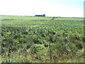 Rough Farmland , SW of Mormond Hill