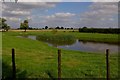 Pond Near Parks Farm, Newsholme Parks