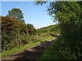 Elsecar Greenway