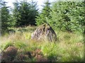 SN8028 : Standing stone on Mynydd Myddfai above Usk reservoir by Nigel Davies