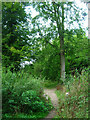 Bridleway Entrance, Houghton Forest