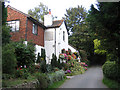 The Golding Hop, Plaxtol, Kent