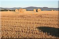 Straw Bales