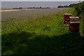 Beehives in Borage Crop Near Easthorpe