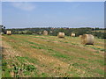 Ells Farm from Ells Lane