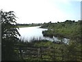 West Lake - Elton Flashes Nature Reserve