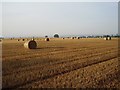 Standard Round Bale Shot No. 481