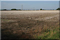 Field of stubble near Hawksworth