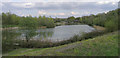 Cripplegate Lake, Southwater Country Park