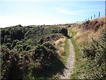 SS7248 : The Tarka Trail/Two Moors Way by Janine Forbes