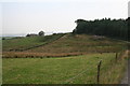 Sheep pasture near Knarr End Farm, Black Lane Ends, Lancashire