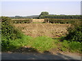 View from the Pocklington to Burnby road.