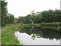 Exeter Canal and towpath