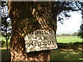 SH6102 : Tree 'digesting' sign by John Lucas