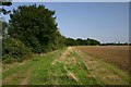 Footpath to Harding