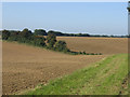 TR0946 : Newly harrowed fields by Stephen Craven