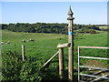 Carved fence post