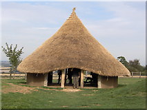 SU1576 : Iron Age roundhouse at Barbury Castle Country Park by Phil Champion