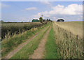 The access track to Bettyfield Farm