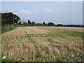 Stubble field