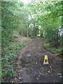 Bridlepath 1420/1 towards Pear Tree Farm