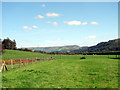 Pasture at Llanwrin