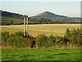 Farmland above Newstead