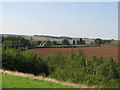 The northern edge of Poulter Country Park