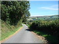 Country lane in Dyffryn Dyfi