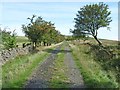 The track up to Bullcleugh Gate