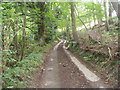 Farm track on Bryn yr Eithin