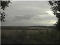 Fields near Low Grange