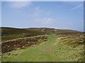 SJ1267 : Offa's Dyke Path by Eirian Evans