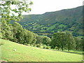 Farmland in Cwm Rhiwarth