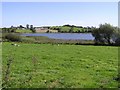 Eskragh Lough, Dungannon