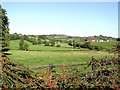 Dolly Wood Townland