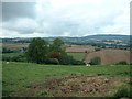 Farmland near Lane