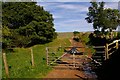 NY6333 : Gate onto Fells near Townhead by Charles Rispin
