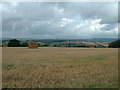 SO6292 : Farmland near Monkhopton by David Medcalf