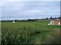 Sandbach Cricket Club