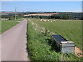 Farm road to Thorndale