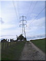 Pylon