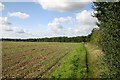 Footpath to Thurston